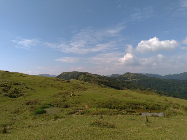 青山藍海水牛群，桃源谷＋小百岳灣坑頭山714386