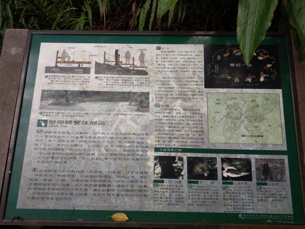 黎和生態公園→富陽自然生態公園→中埔山/東峰→福州山→富陽自然生態公園1438407