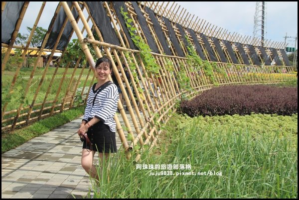 2019桃園農業博覽會693332