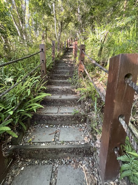 [玉山尋寶任務-03/12] 2025_0810 瓦拉米步道2857429