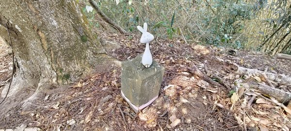 2026/03/08-毘盧禪寺步道+七星崗3013893