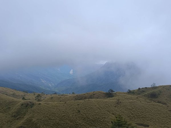 20250420南投瀧奧、奇萊尖山、合歡八連峰2768505