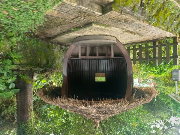 臺北大縱走第七段：世界山莊至飛龍步道2810239