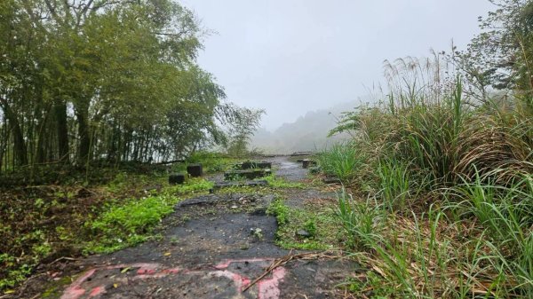 20260328赤玉o型3029885