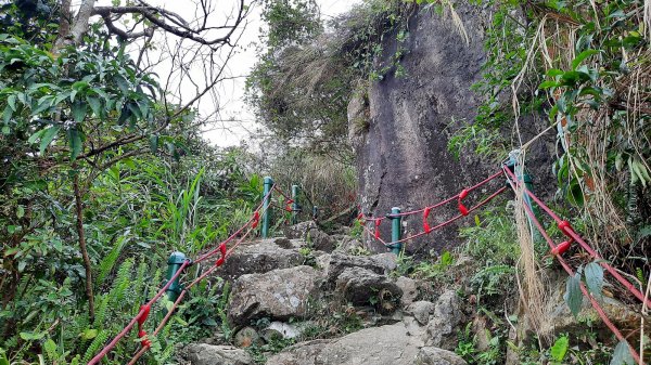 《雲林》全程陡陡｜華山10-5號步道上雲嘉大尖山202203061631159