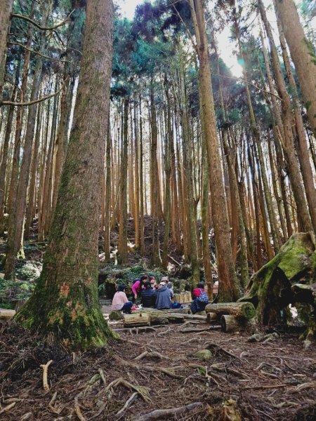 特富野古道-2024嘉遊好步道．來嘉走走2674384