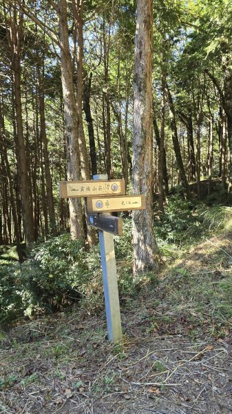 20251003-1006 南湖群峰四天6座百岳2919643