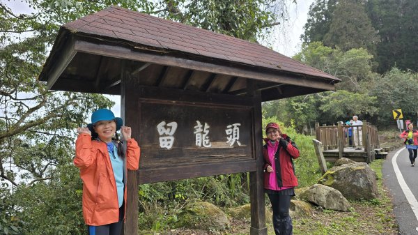 忘憂森林有一種美無法形容，雲霧繚繞，水氣朦朧，全台入園數第一名的森林遊樂區，溪頭自然教育園區2729330