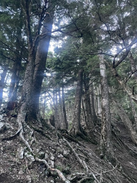 一日 南湖大山 2024 07/142552681