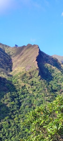 劍龍稜初體驗2431364