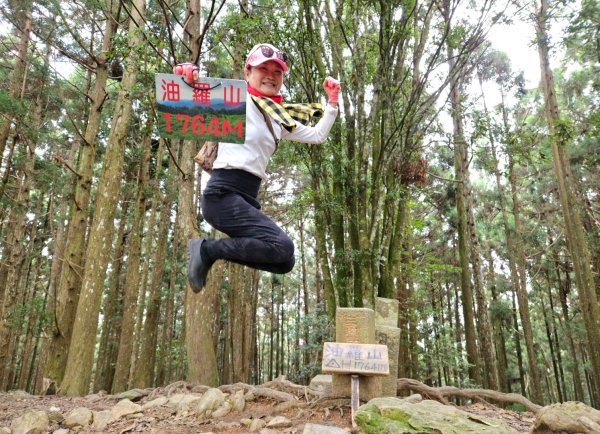 林相優美的油羅山，細數蟬鳴鳥叫2546806