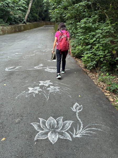 挑水古道附近古道串聯+藤山步道202505032784330