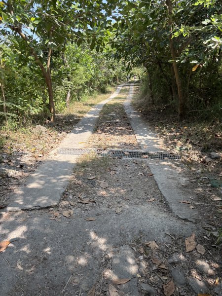 20251012高雄半屏山步道2915126