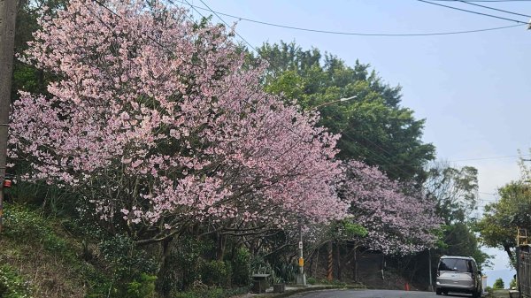 20260320永公廢棄水廠-永公路-小草山西南-1ICRT電台-中庸一路-中庸五路-新安路3022416