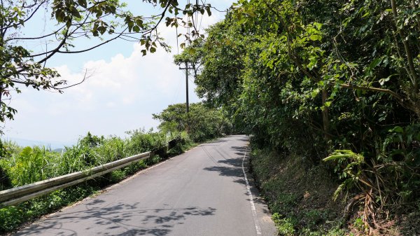 中山峽谷步道,海興步道,情人湖登山步道2581366