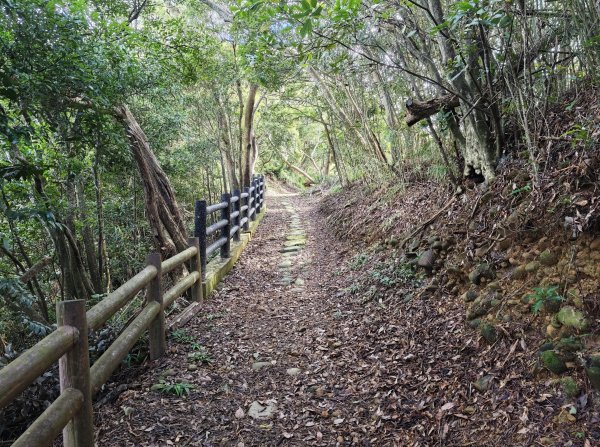 [皮皮獅動物派對-03/10] 2026_0822 石光古道(老虎山步道)3120815