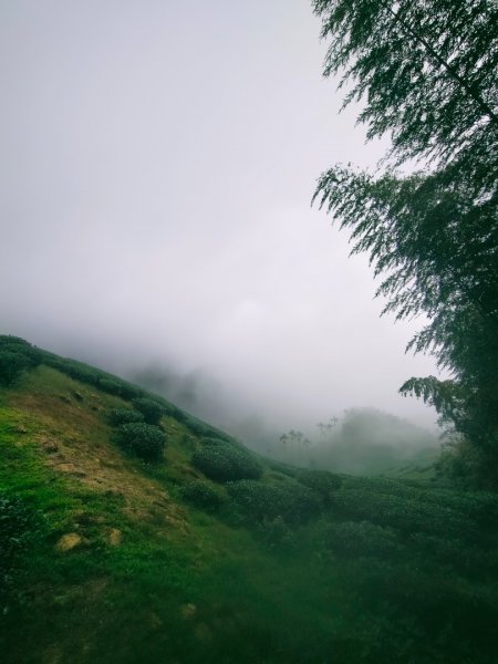 雲嘉連峰2365686