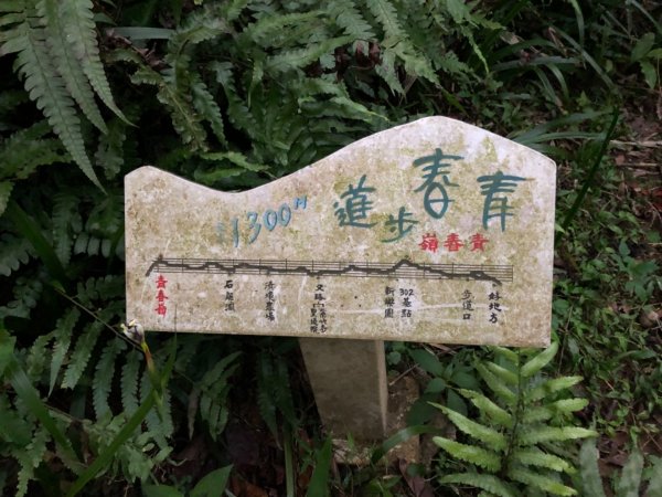 南勢角山（烘爐地—青春步道）550207