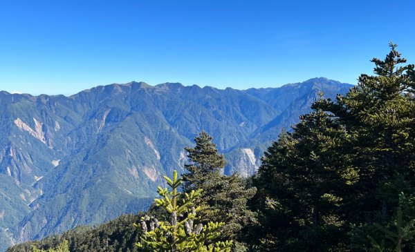 值得為它緩慢⋯白姑大山1487709