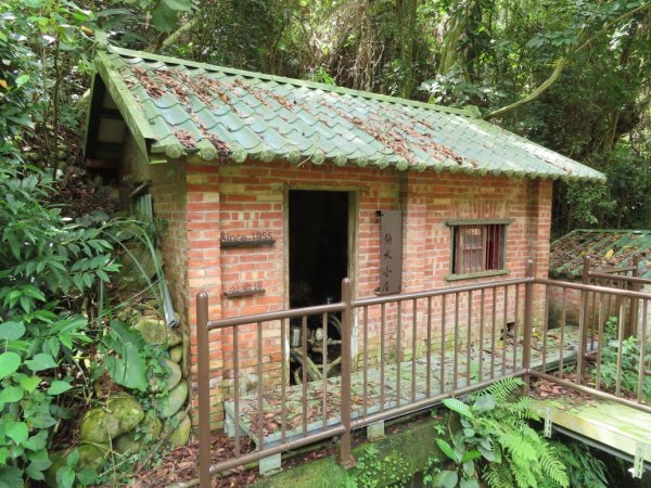 旱溪源頭自然生態區2878018