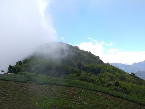 小百岳：嶺子腳山(太平山)1184390