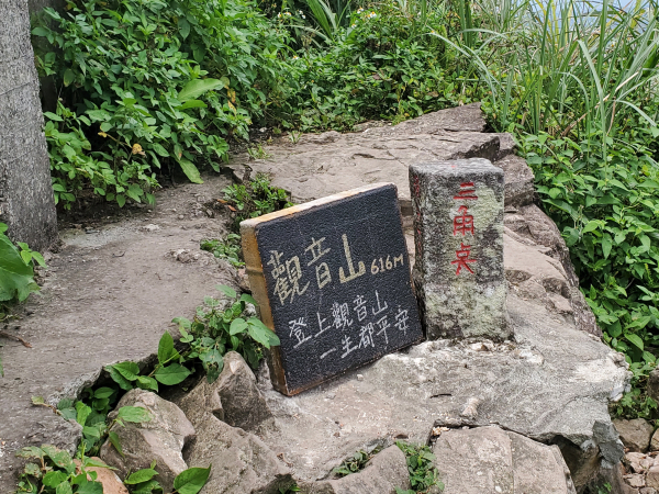觀音山硬漢嶺O繞