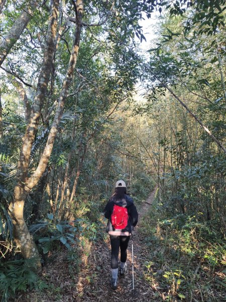 2024.02.01 凌空廊道登煤源山2843937
