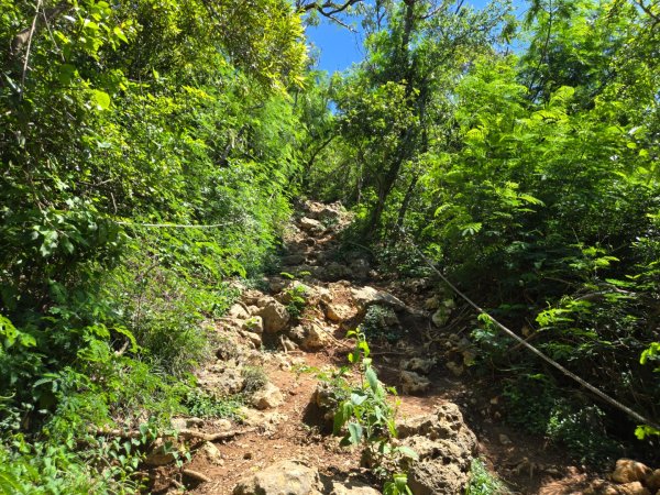 南壽山步道2805693