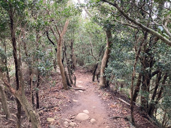 火炎山登山步道2386050