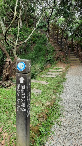 《台中》樹抱石｜大坑步道6上7下健行202109211464902