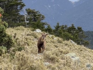 雪山西稜夢幻大景1392844