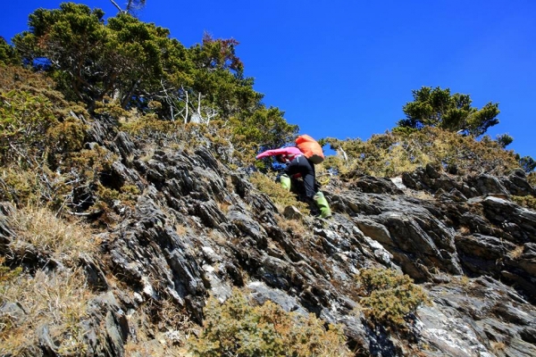 卓社大山 18連峰16231