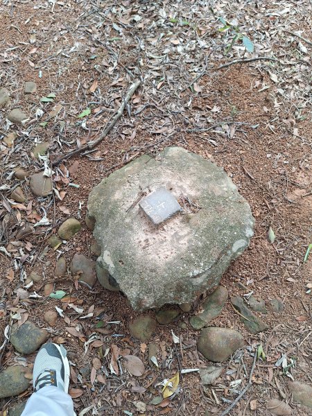 飛龍步道(崇聖亭起登)202401222696345