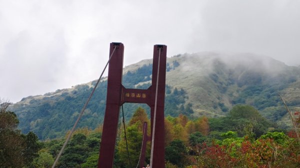 陽明山輕鬆走2991973