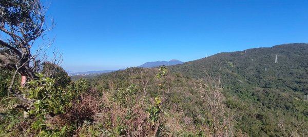 內湖金面山22690020