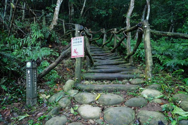 臺中 新社 頭嵙山2309719