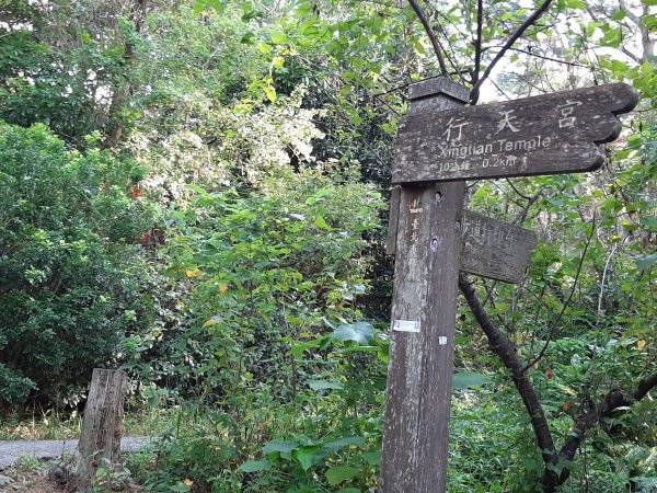 關渡親山步道｜雨過天晴 讓我們看雲去1434448