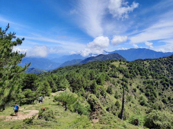 鹿林山 麟趾山 玉山登山口O型