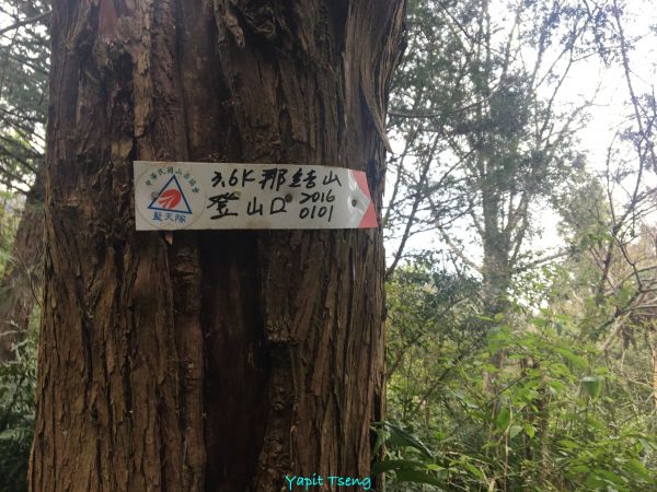 馬武督山 蓮包山 外鳥嘴山 那是山289118