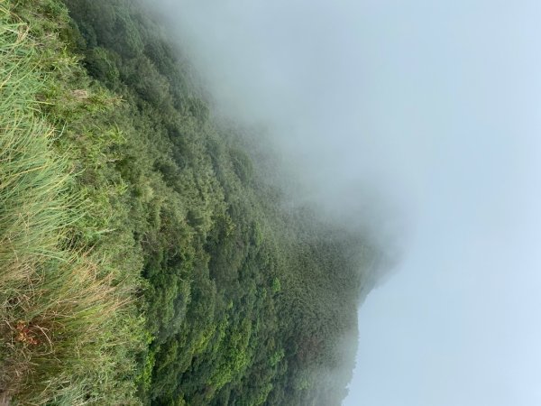 2025/09/07 大屯溪古道2926718