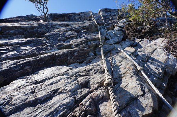 台中 和平 鳶嘴山2926886