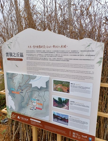 【雲林古坑】療育綠廊。 雲嶺之丘 x杉林步道x五元二角2760583