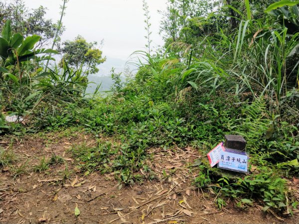 新店小獅山訪11座涼亭縱走待老坑山尋山頭902180