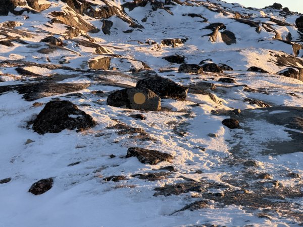 [紐約馬之行-42] 2025_1107 黃線步道-後2950707