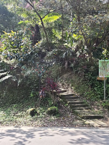 2026-0221造鎮-太極嶺-桐花公園-承天禪寺-永寧站3005812