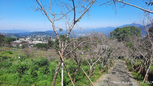 《南投》清新小旅｜鳳凰自然教育園區步道及小半天202311052337005