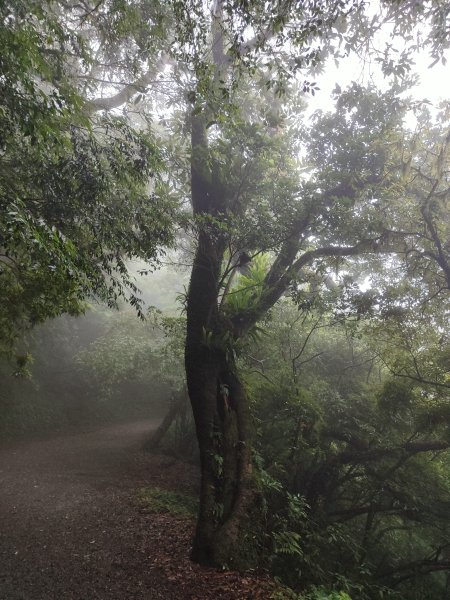 臺北大縱走第一段：關渡至二子坪2790237