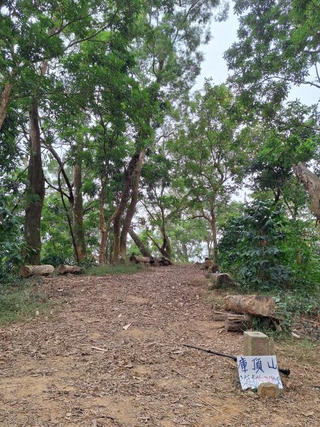 烏山嶺水利古道+鳥子嶺O型2967449