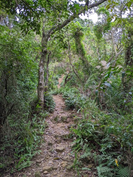 麟光至萬隆 南港山列 福州山 中埔山 芳蘭山1663775