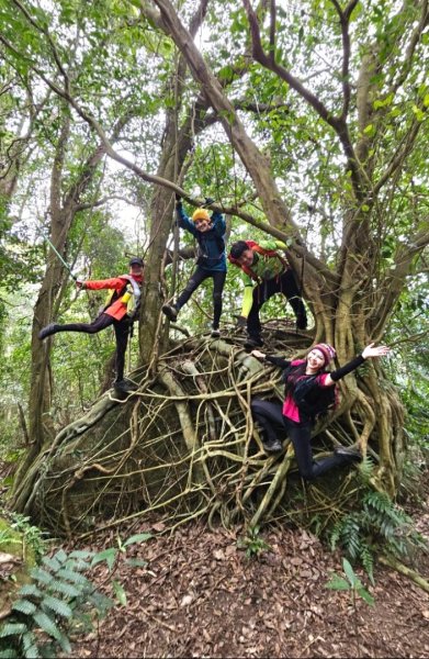 【苗栗郊山聖稜線】仙神象18連峰大縱走2676009